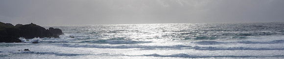 2W1A9531