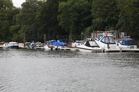 IMG_2003
