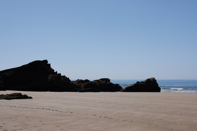 2W1A9221